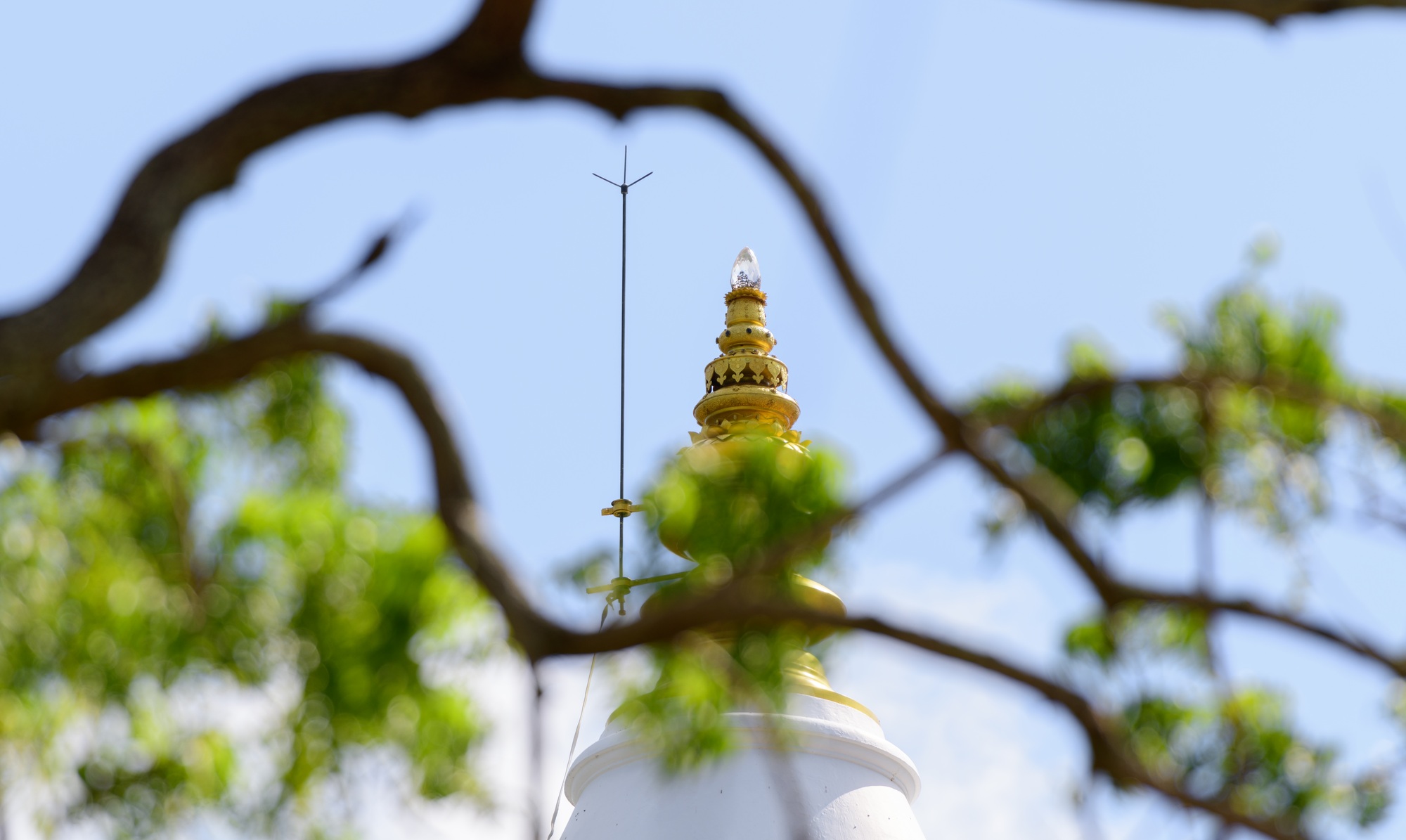 Kiriwehera stupa top part with Chatra and crest gem view through tree branches.